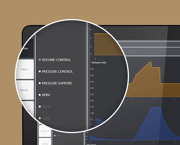 LungSim UI details