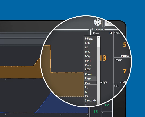 LungSim UI details