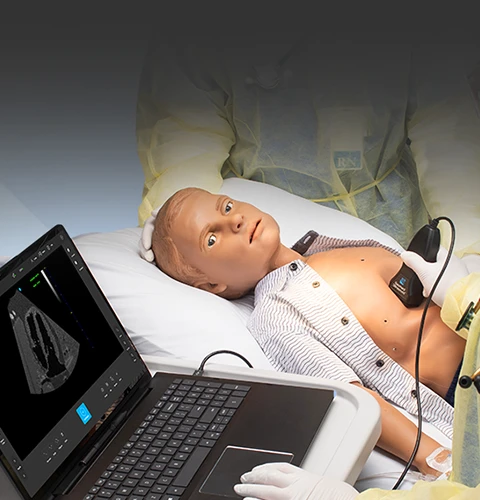 Gaumard Ultrasound™